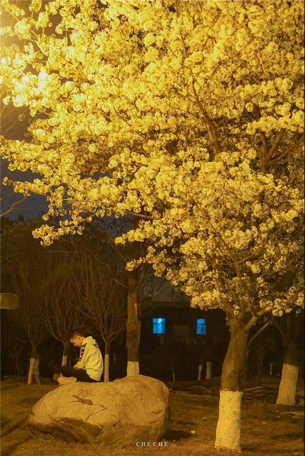 ˹Աרӣ (8).jpg